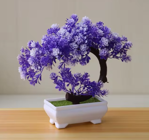 Eternal Green Bonsai