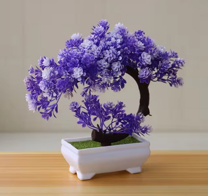 Eternal Green Bonsai