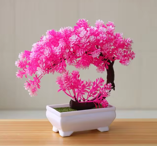 Eternal Green Bonsai