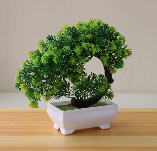 Eternal Green Bonsai